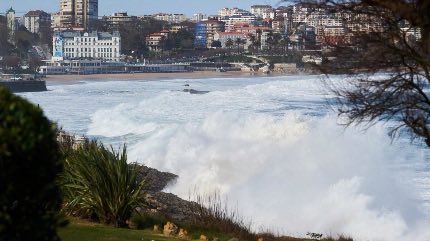 Fuentes Informadas tweet media