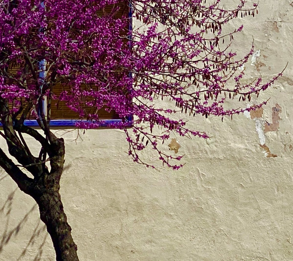 simon tobin tweet media