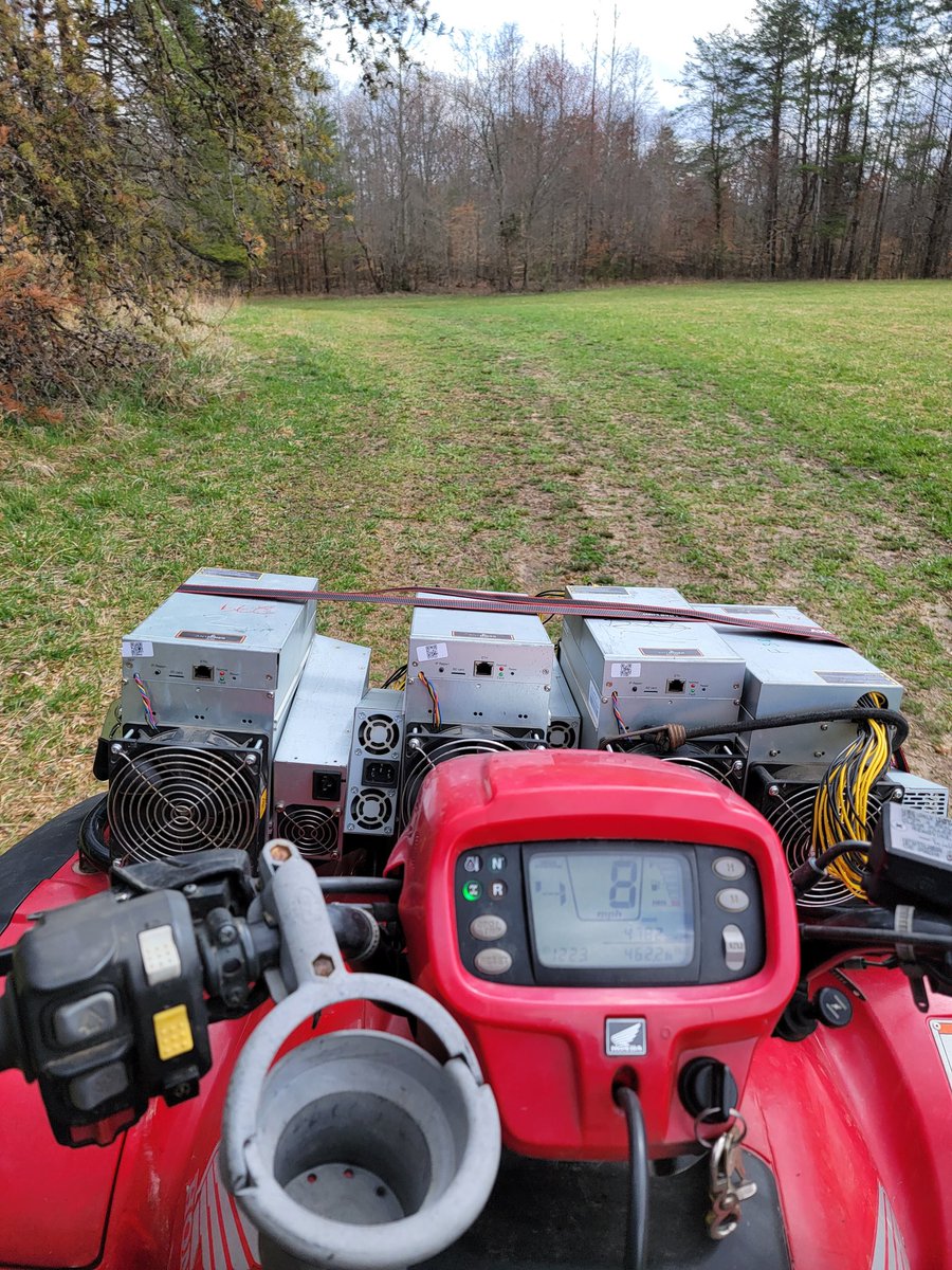 HODLTarantula(HT)🏴‍☠️Sovereign Maximalist tweet media