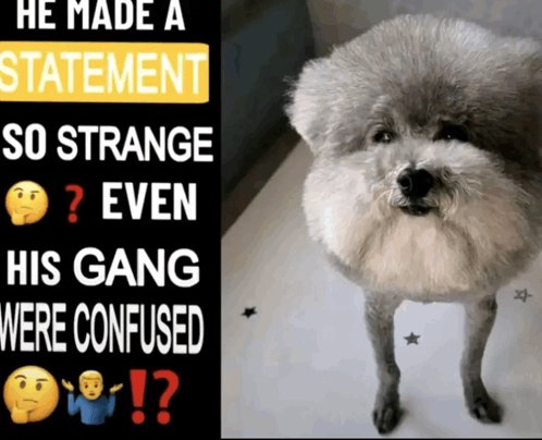 HowlingGlep tweet media