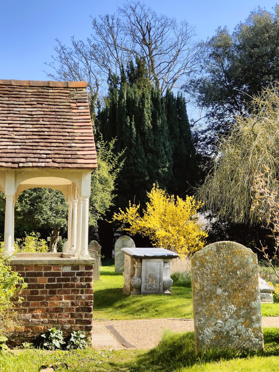 Matt Edwards tweet media