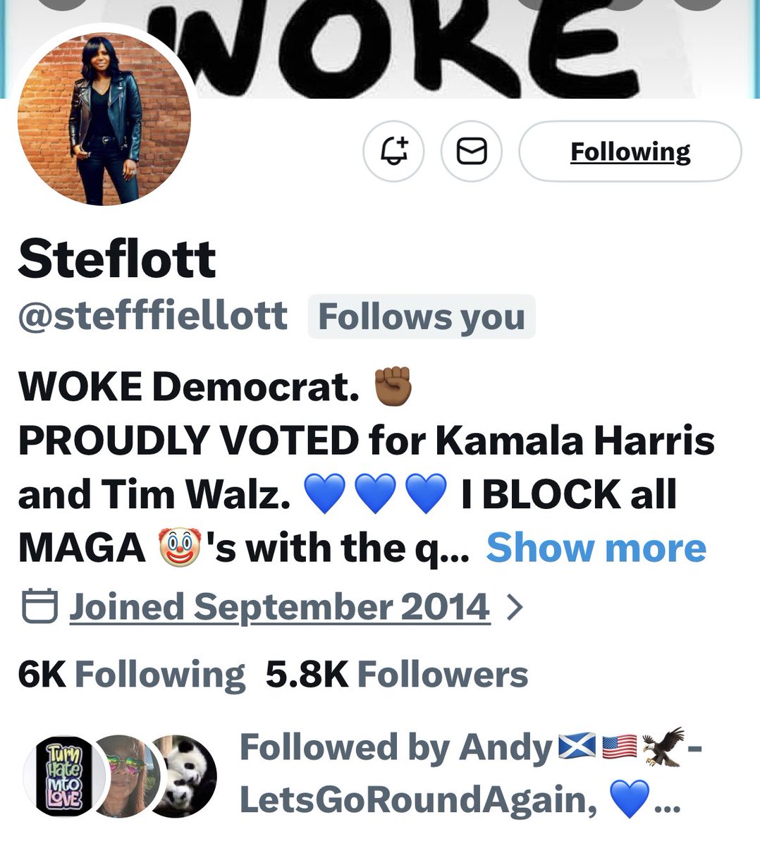 Turquoise Cat tweet media