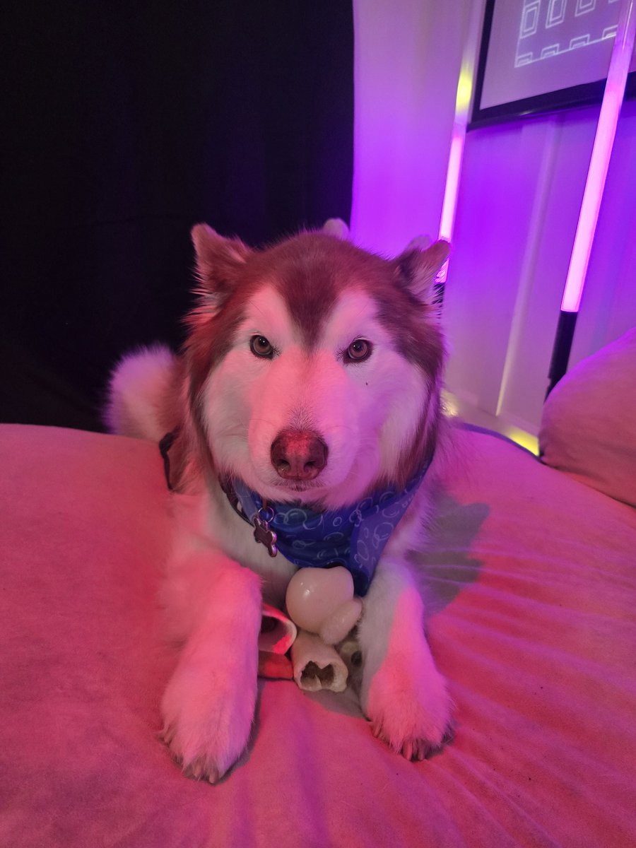 ⋆🌙 ⋆ CTRL+F:『🐇』🎧 WeTouchGrass SJ + Sac🎉 tweet media