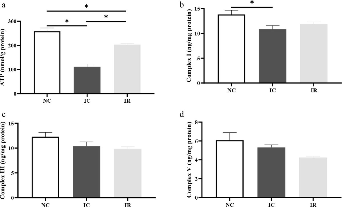 Maximum Academic tweet media