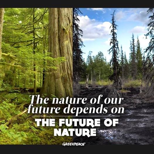 josephinewell19's tweet photo. @AbiluTangwa 10
#SaveTheForests
#SaveTheBees
#ClimateActionNow https://t.co/dWG7luWZp7