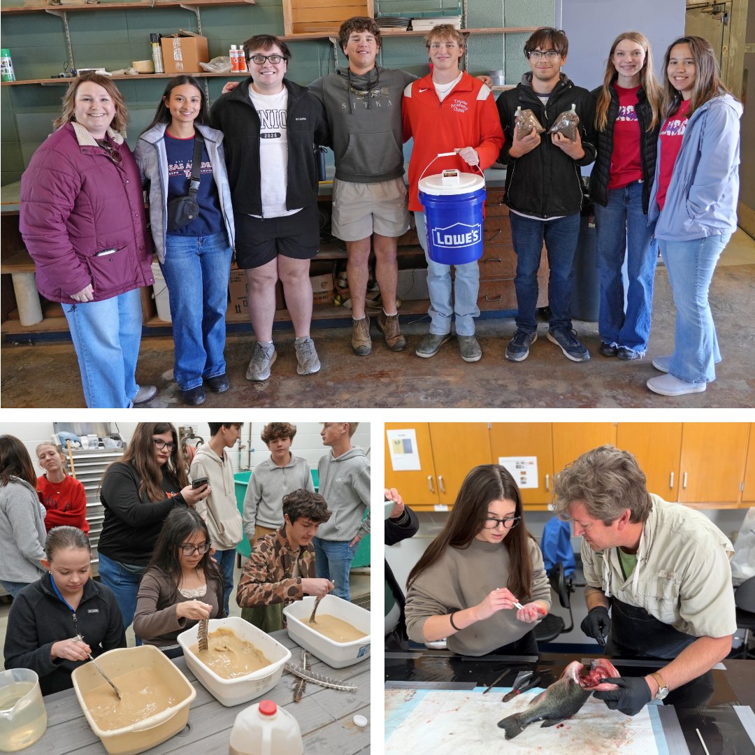 LaWildlife&Fisheries tweet media