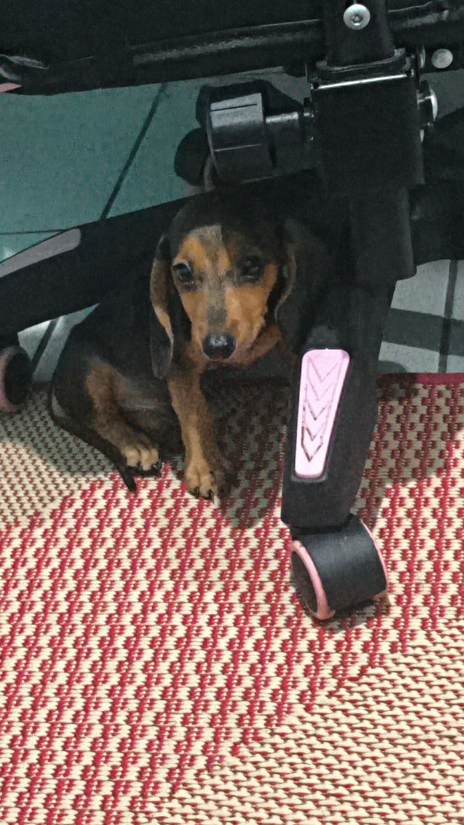 Mizuki 🦴 tweet media