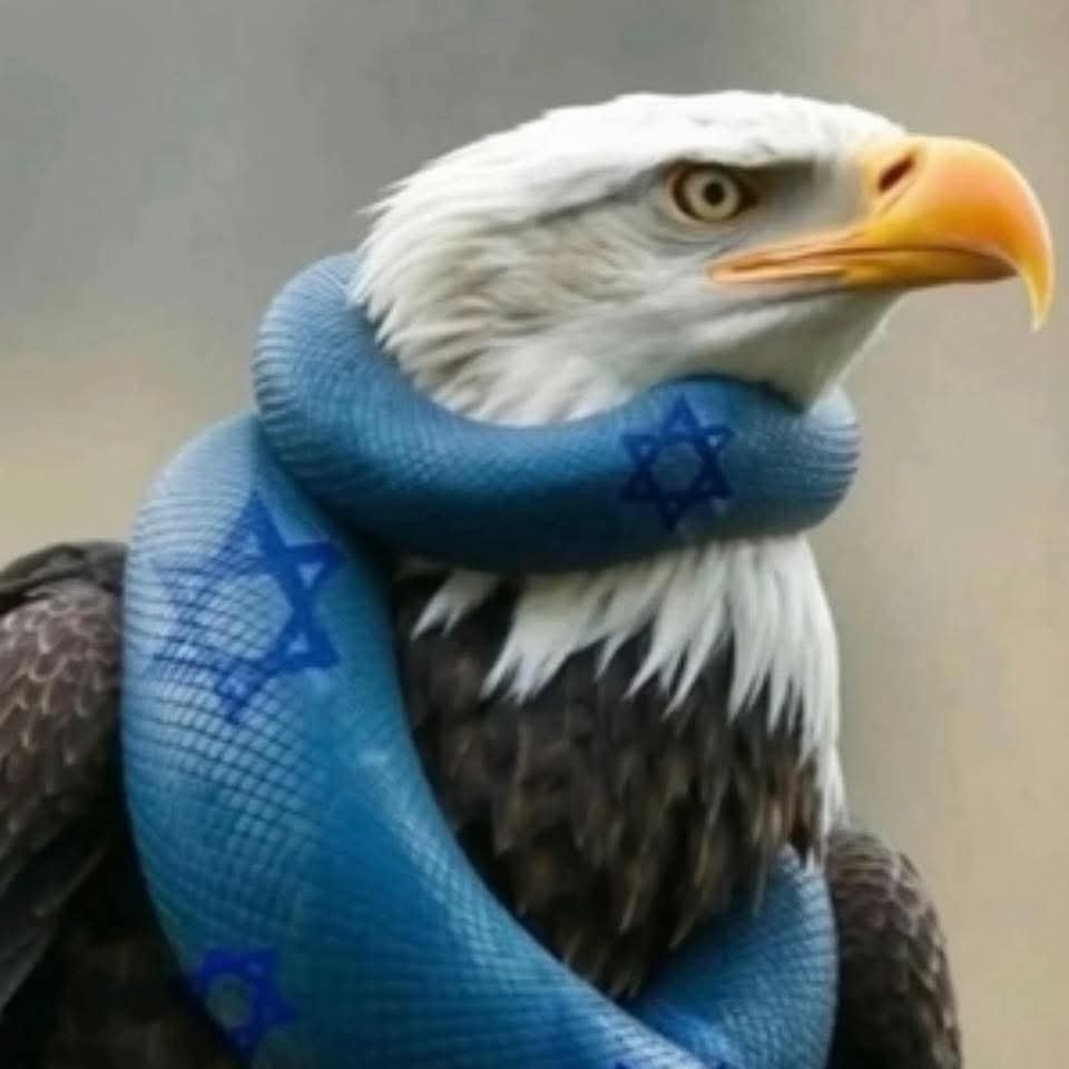 Joe🇺🇲🇺🇲🇺🇲🇺🇲🐘🍊 tweet media