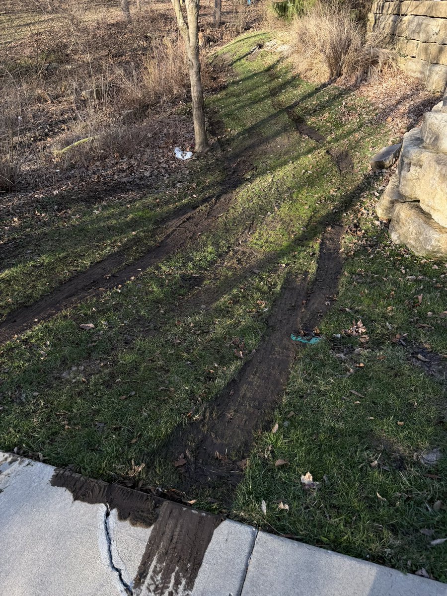 Macaiyla tweet media