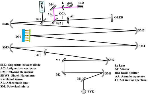 TVST Journal tweet media