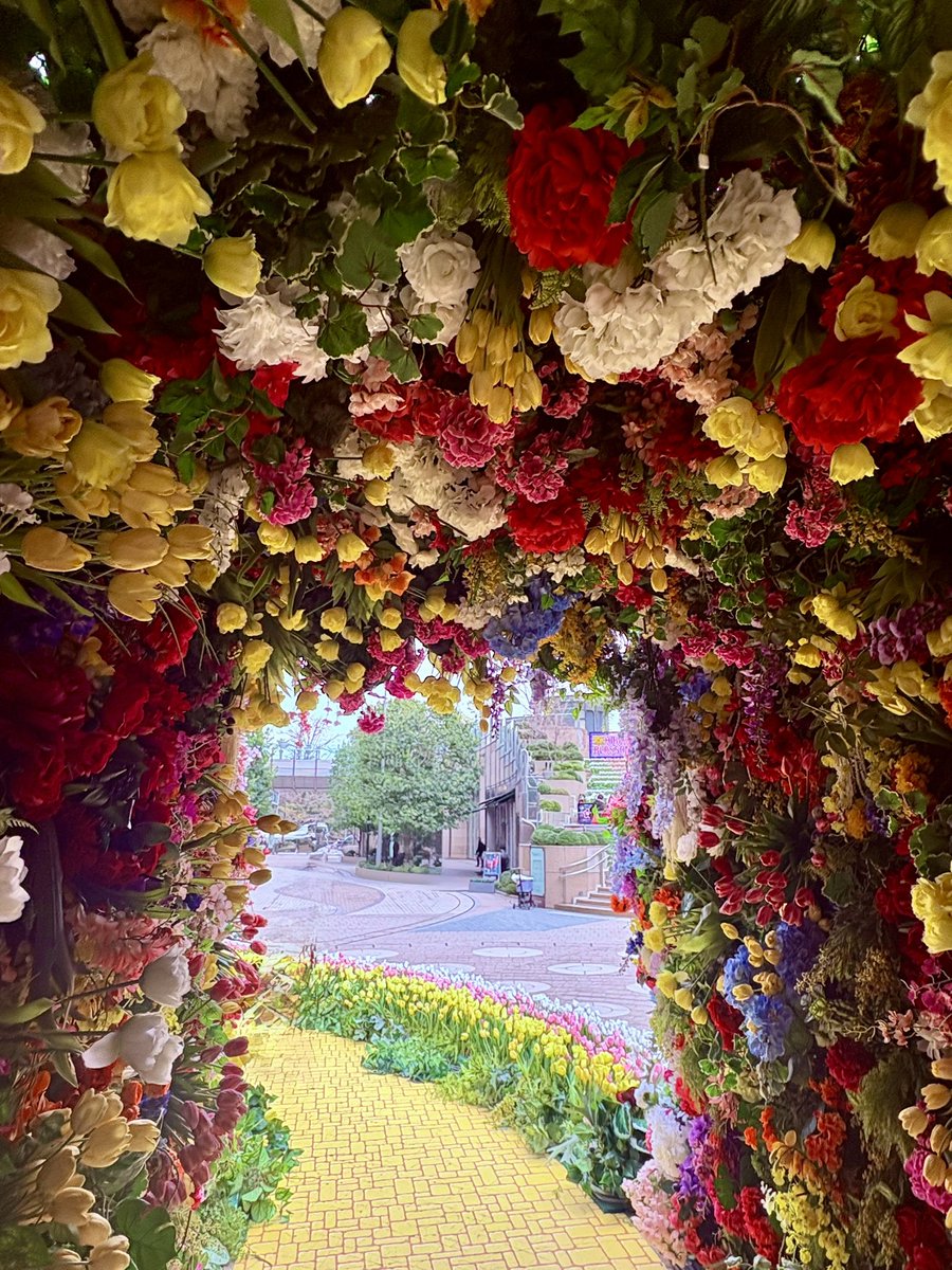 小明 (AKARI) tweet media