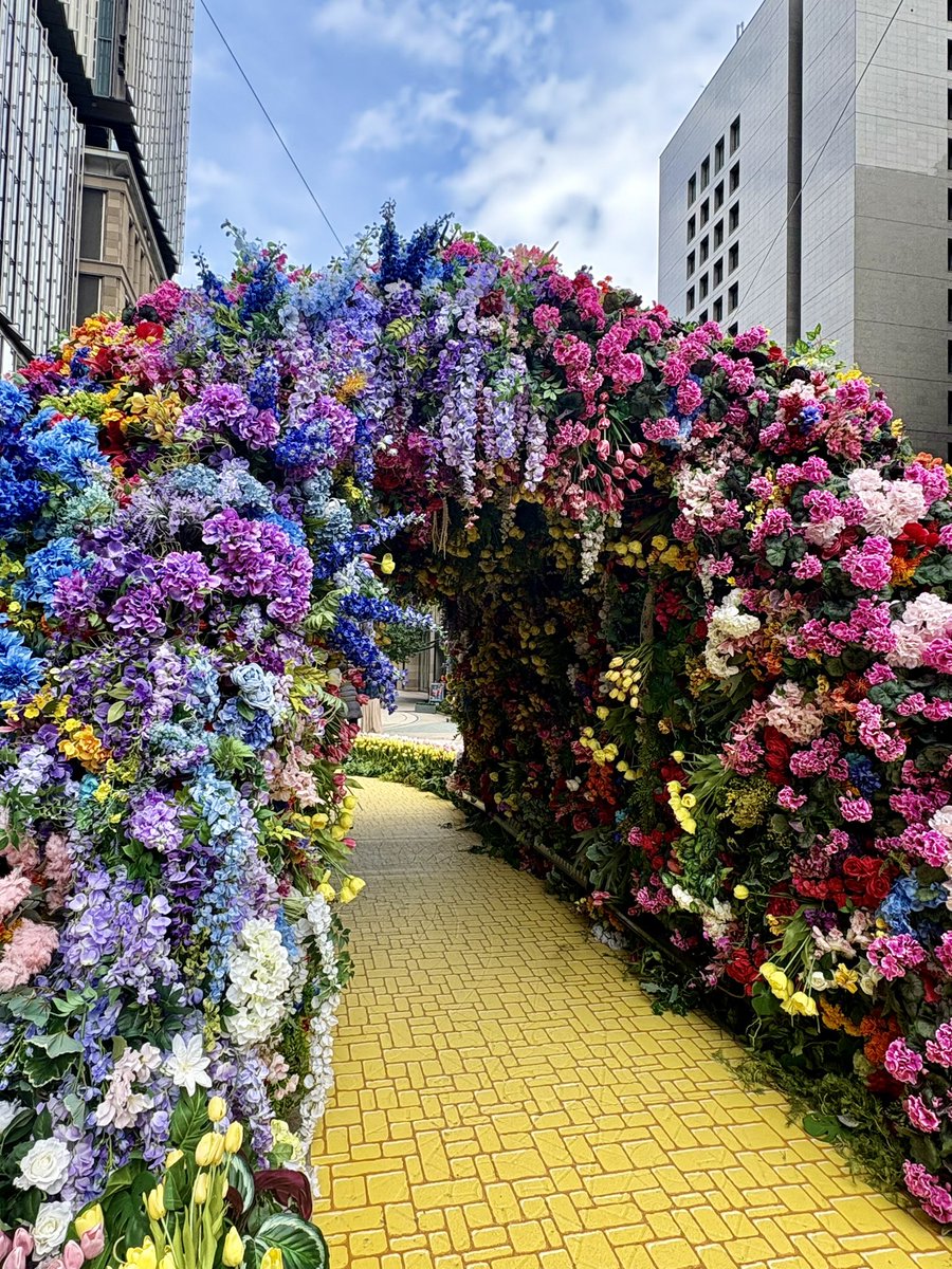 小明 (AKARI) tweet media