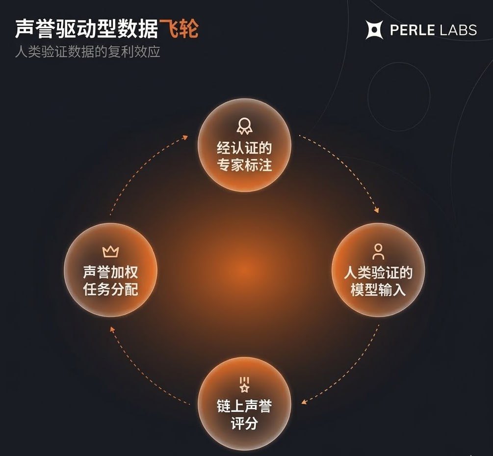 颜驰.Bit 🦅 tweet media