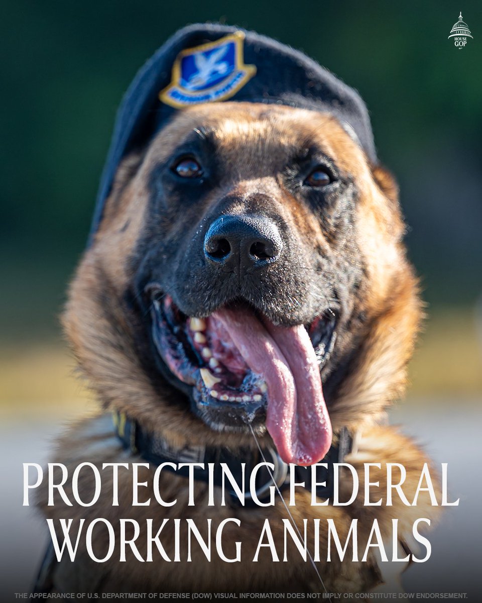 House Republicans tweet media