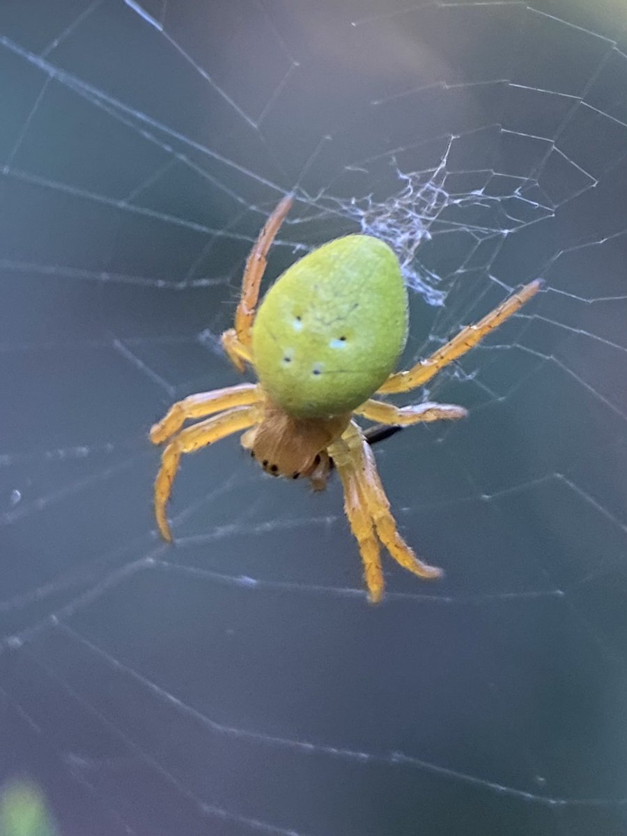 Steve Parsons 💙 tweet media