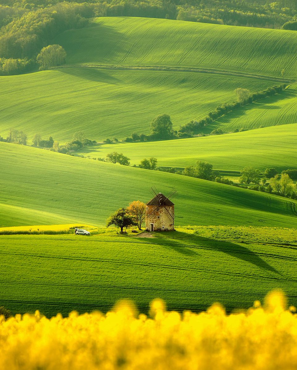 Wander Aesthetic tweet media