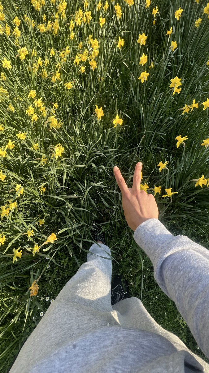 RayRay✨️✍🏻🔮 tweet media