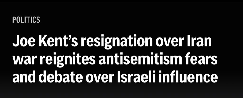 Rana Ayyub tweet media