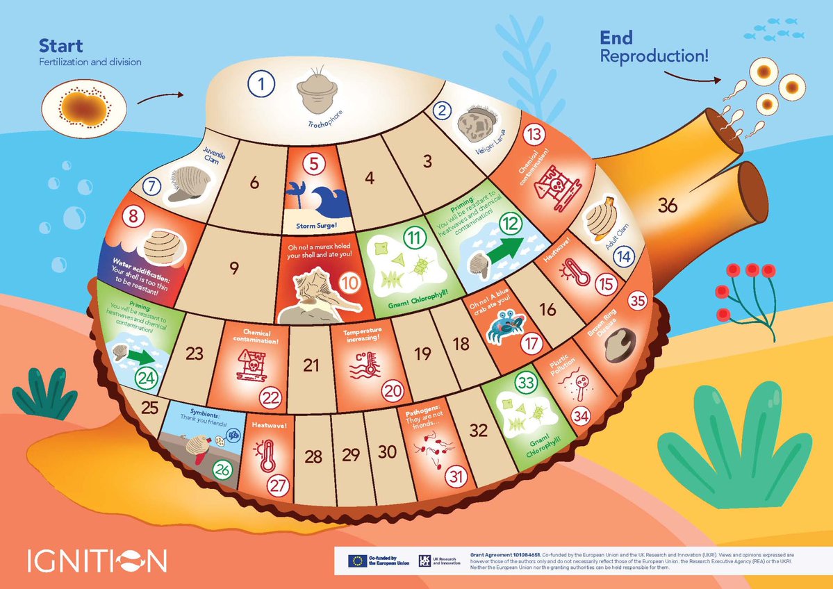 IGNITION tweet media