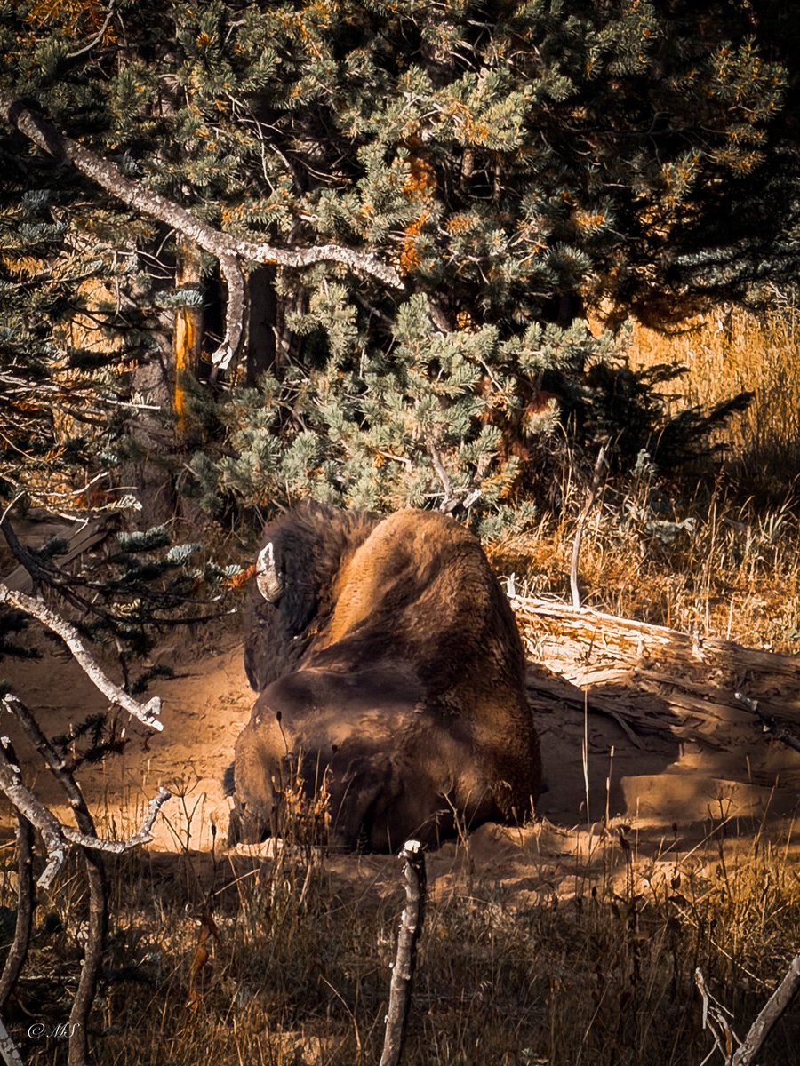 GritsAndGrace tweet media