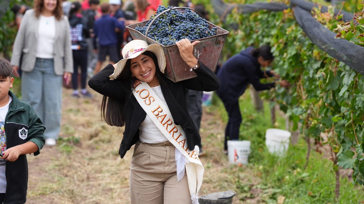 Mario Abed tweet media