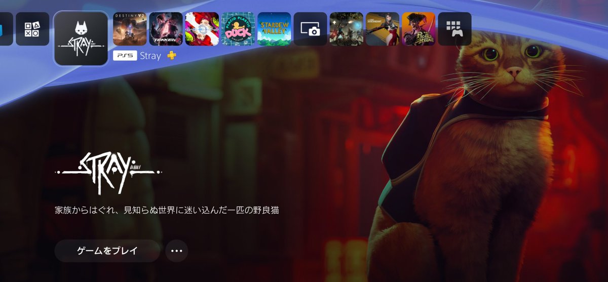 hosiami79's tweet photo. 猫のゲームダウンロードした(　＾Д＾) https://t.co/0WXebJAAoL