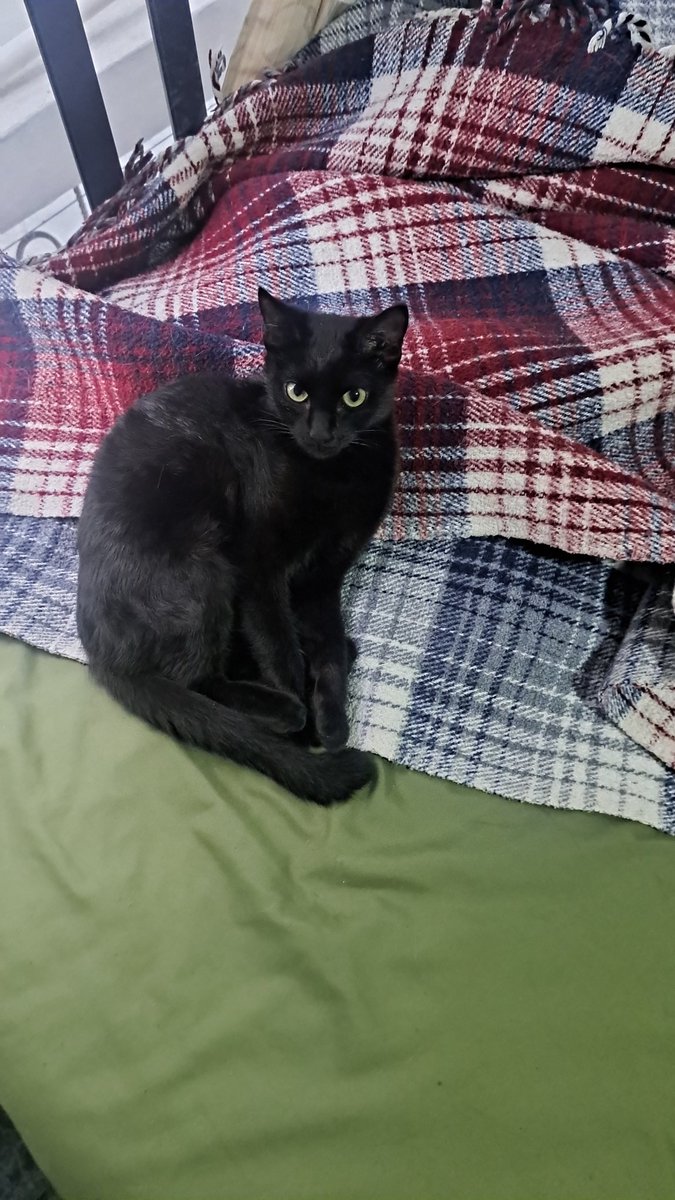 NC1811_x tweet media