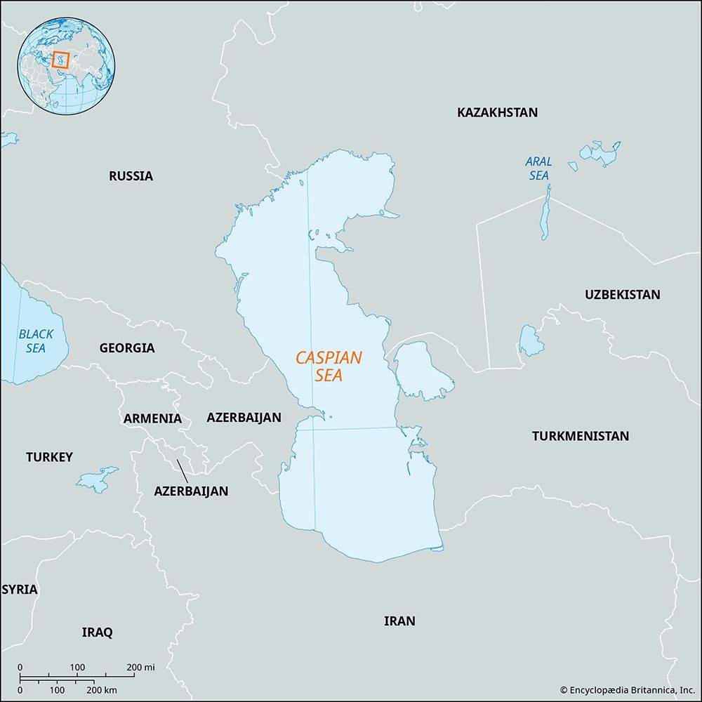 Daily Turkic tweet media