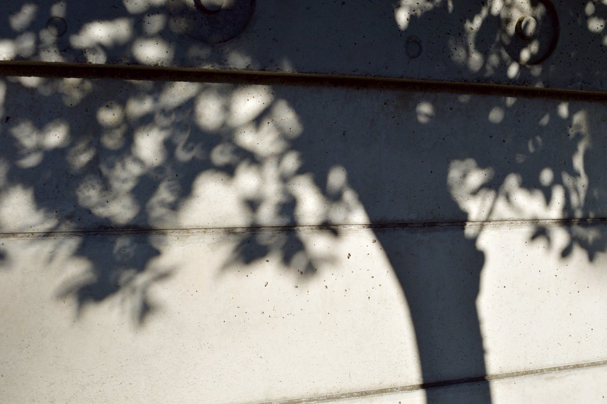 p.himapa tweet media