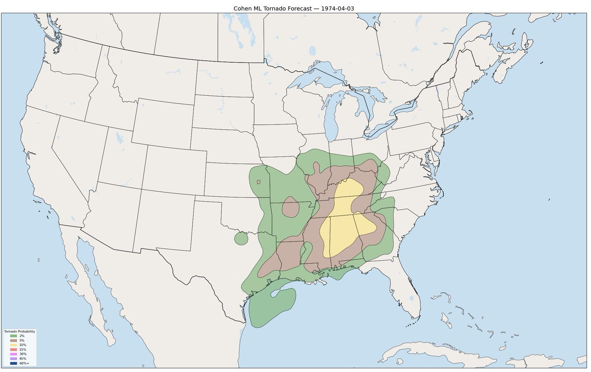 Grace Cohen 🌪️ tweet media