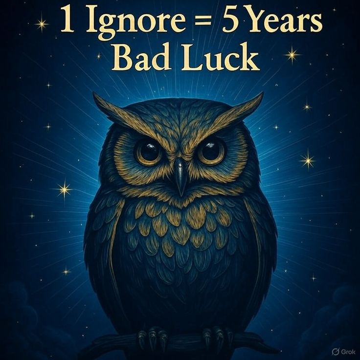 Law_of_attraction tweet media