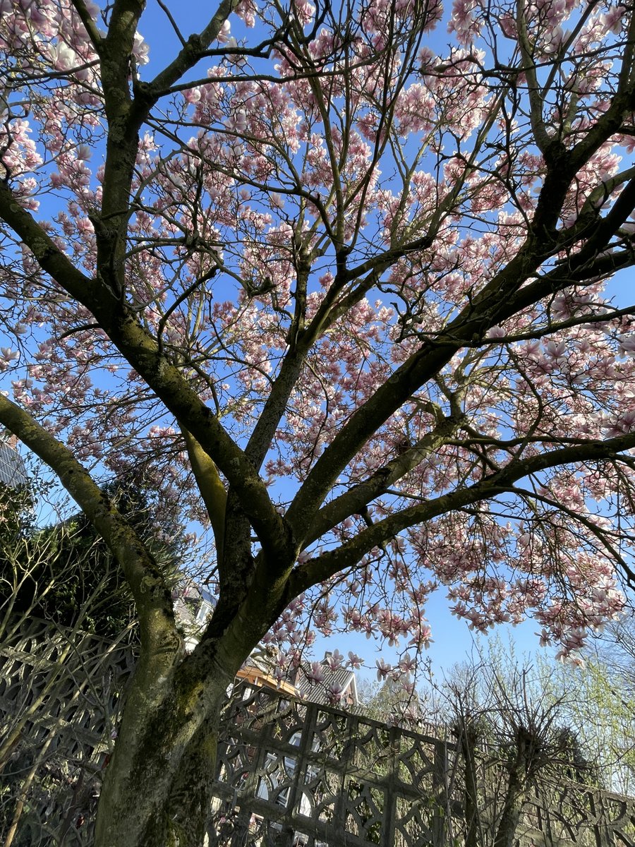 Mama van NoaTweet tweet media