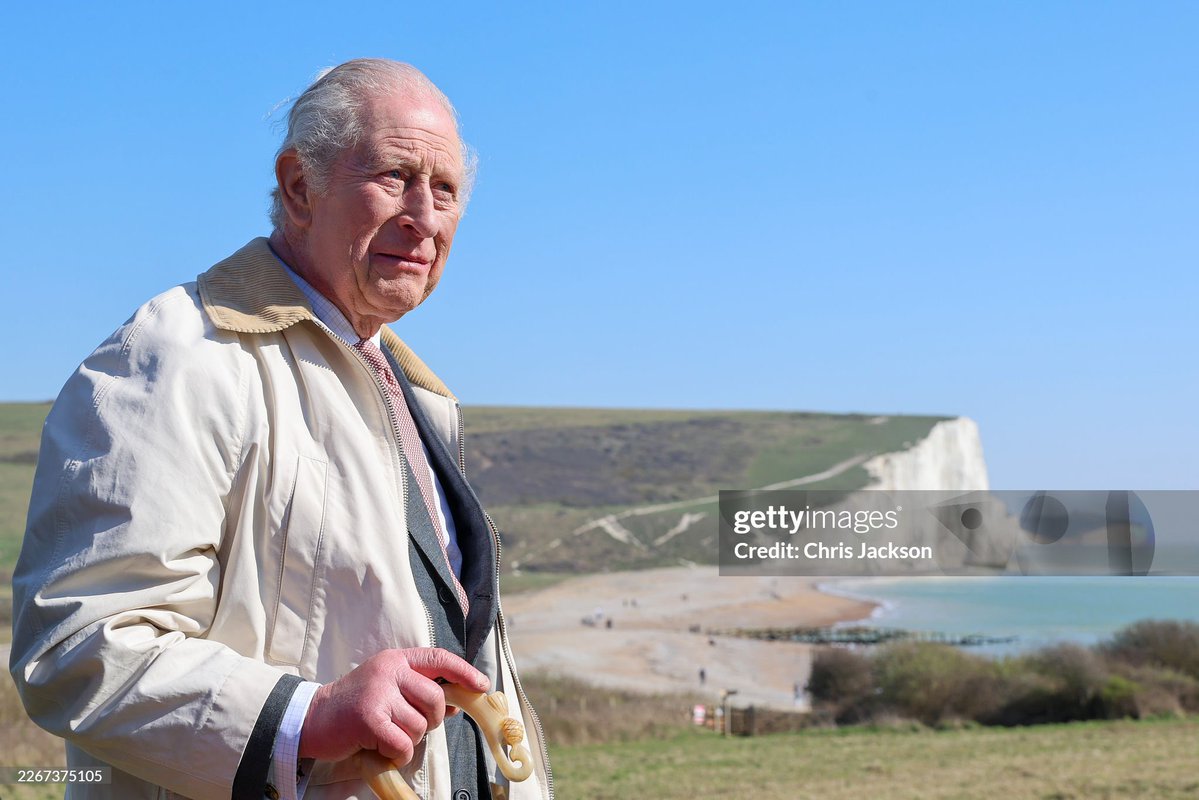 🌻Sarahsecret tweet media