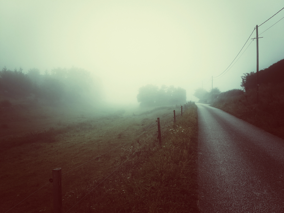 artlimitednet's tweet image. Morning road by Cyril Auvity artlimited.net/42829
#photographyislife #poetry #countryside #visual #nature #phone #colours #landscape_hunter #colorful #landscape #master_shots #nostalgia #landscapestyles_gf #mystery #mobile #photography #color