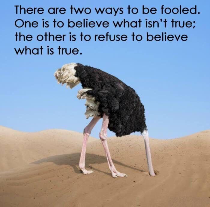 CX Carrillo tweet media