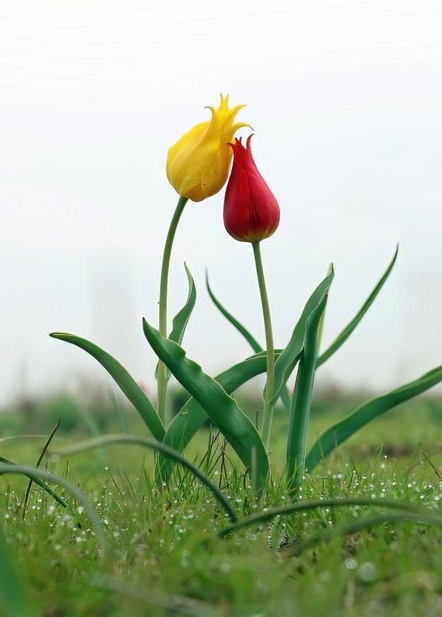 İbrahim Önen tweet media