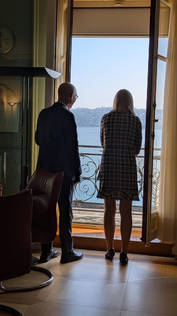 Elina Valtonen tweet media