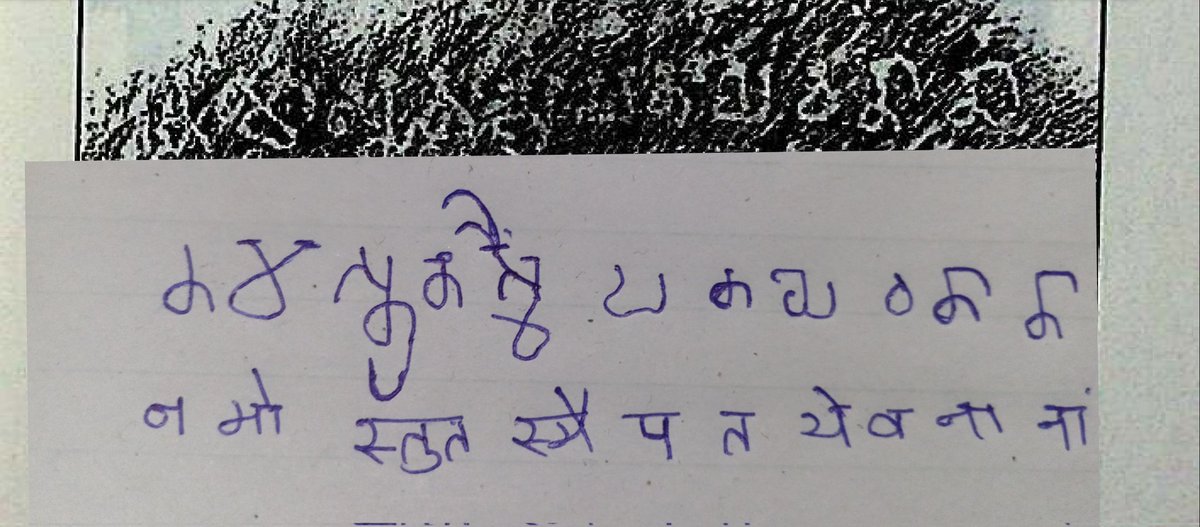 ‼️࿗‼️ वात्स्यायन ‼️࿗‼️𑀋𑀱𑀺𑀬𑁄𑀓𑀸𑀪𑀸𑀭𑀢 tweet media