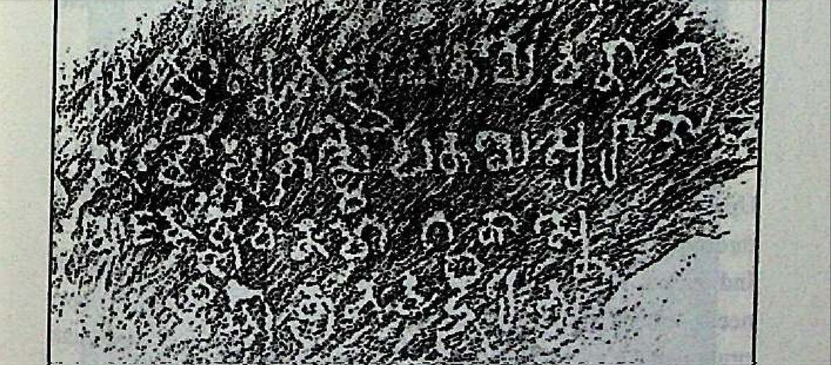 ‼️࿗‼️ वात्स्यायन ‼️࿗‼️𑀋𑀱𑀺𑀬𑁄𑀓𑀸𑀪𑀸𑀭𑀢 tweet media