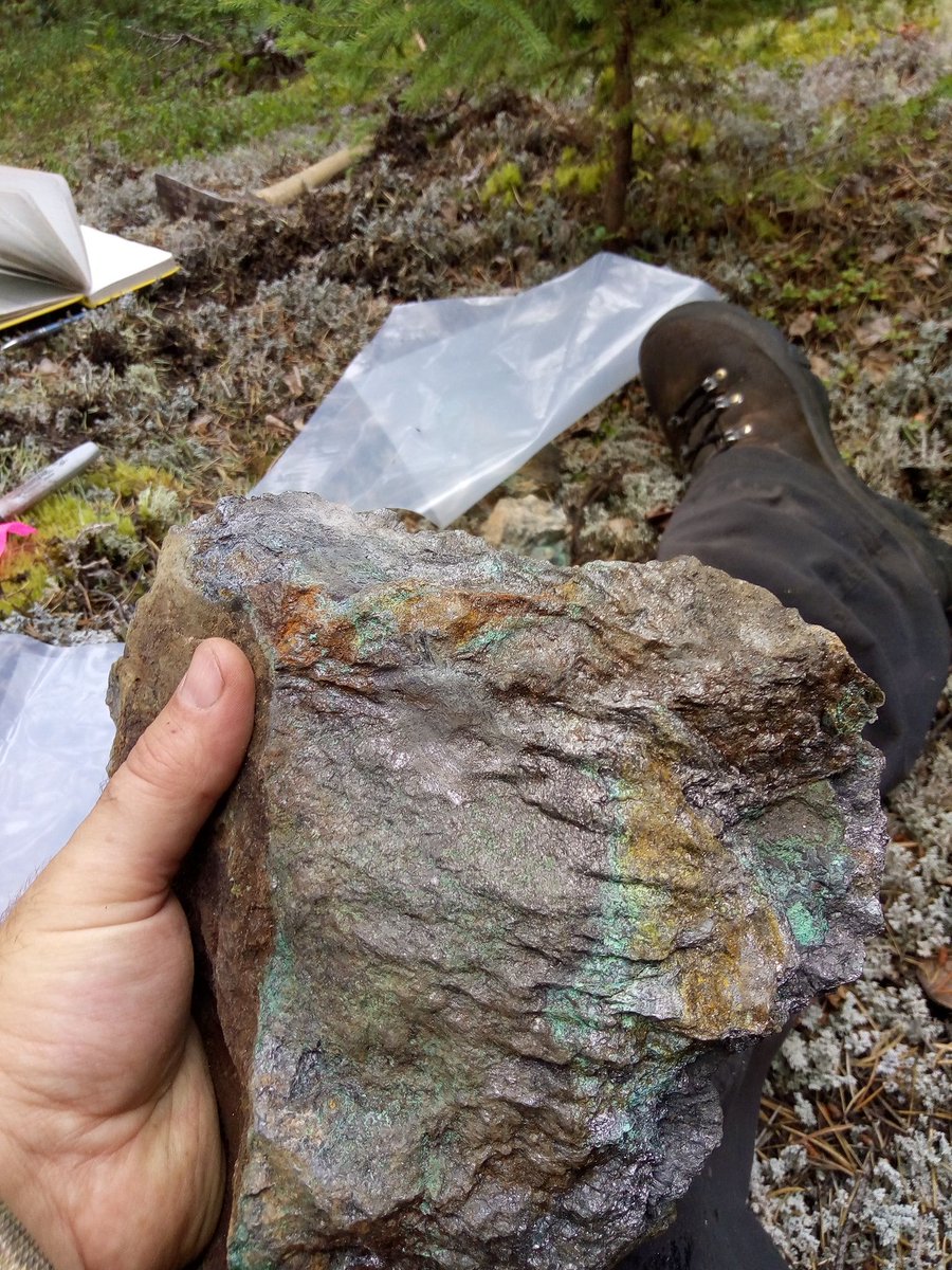 Transition Metals tweet media