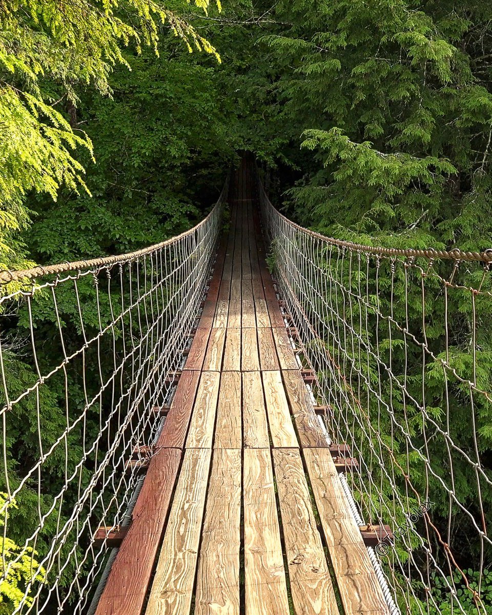 Travolax | Always Traveling tweet media