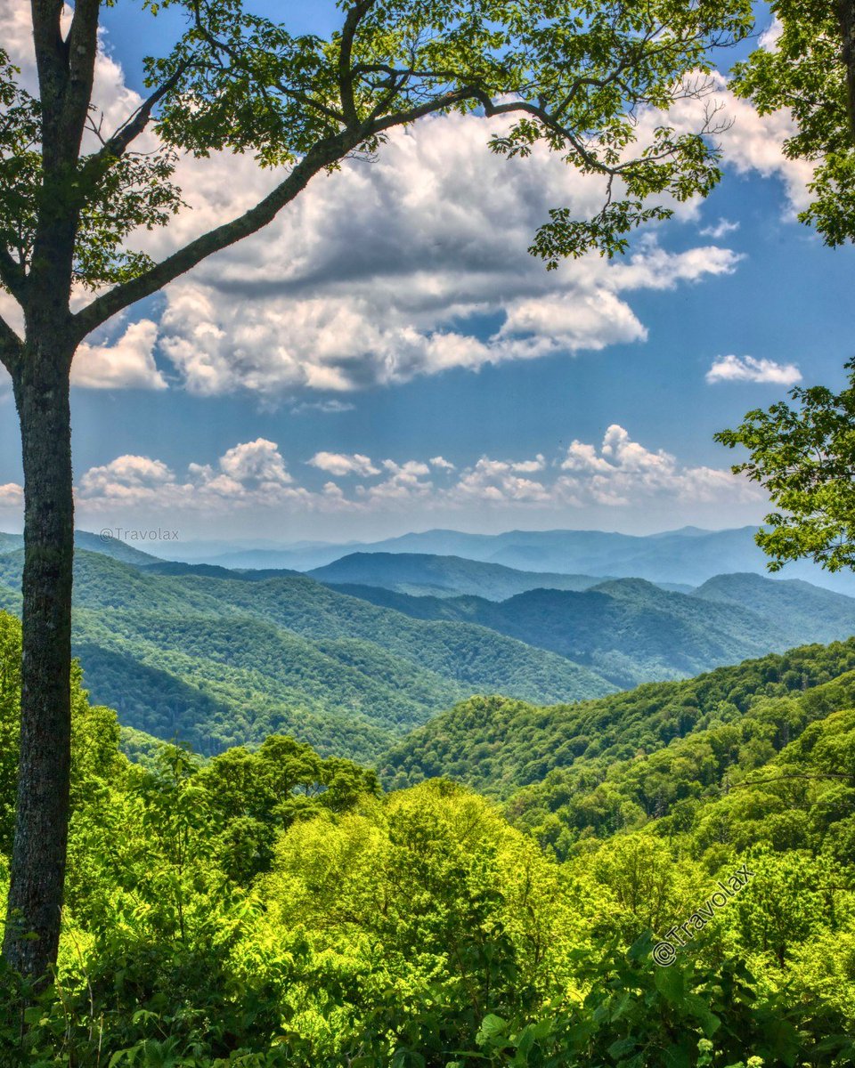 Travolax | Always Traveling tweet media