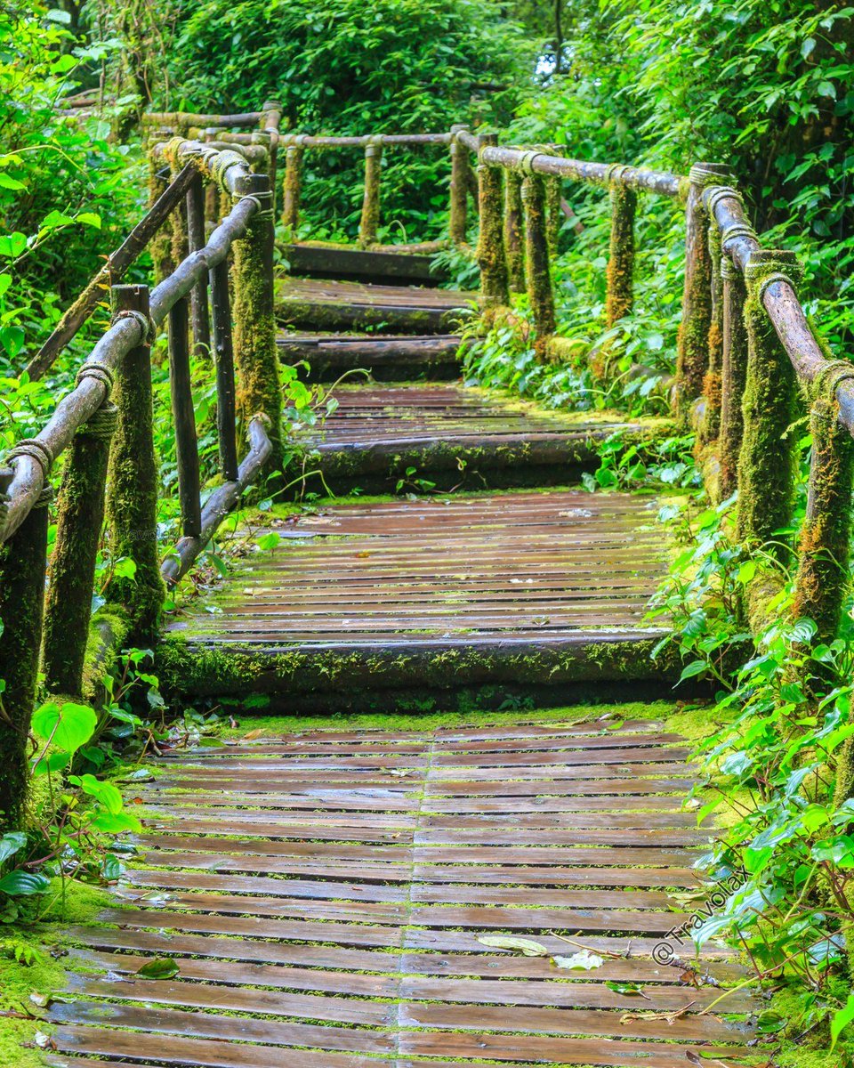 Travolax | Always Traveling tweet media