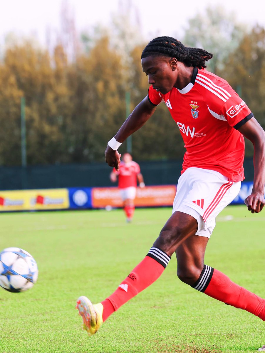 Information Glorious - SL Benfica tweet media