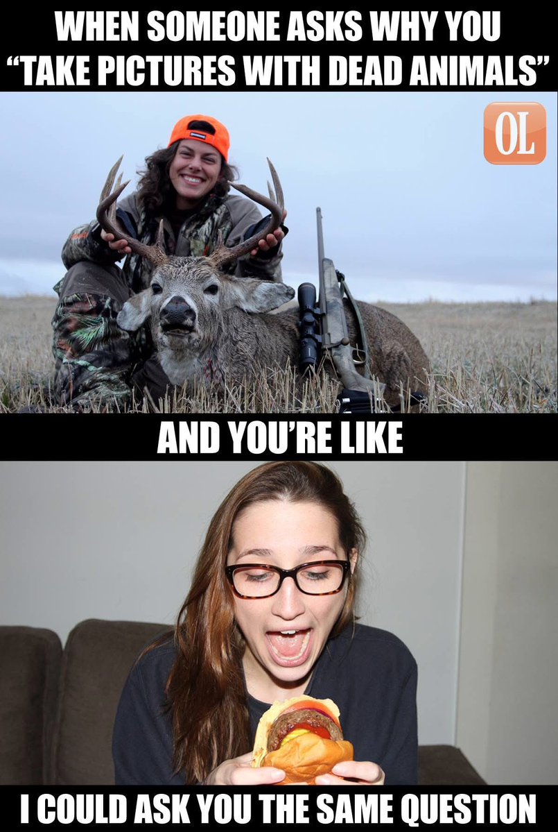 Steve Maley tweet media