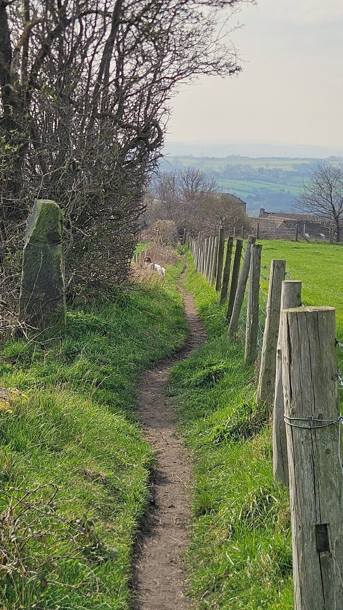 Hazy over the hills, but much of West Yorkshire still visible from the Barleyfields 🐾 #Yorkshire