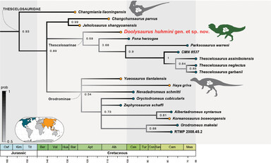 PaleoGalli tweet media