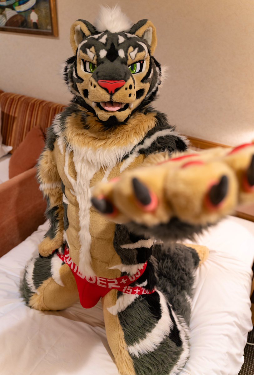 Zephyr🔜 Thaitails🇹🇭 tweet media