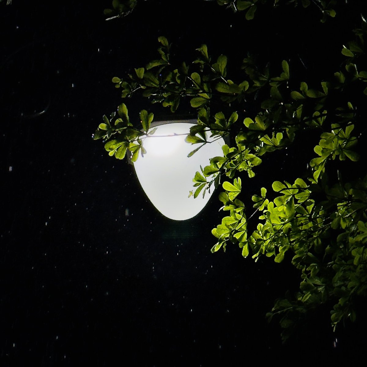 ਸੁਮਿਤ ਚਾਹਲ tweet media