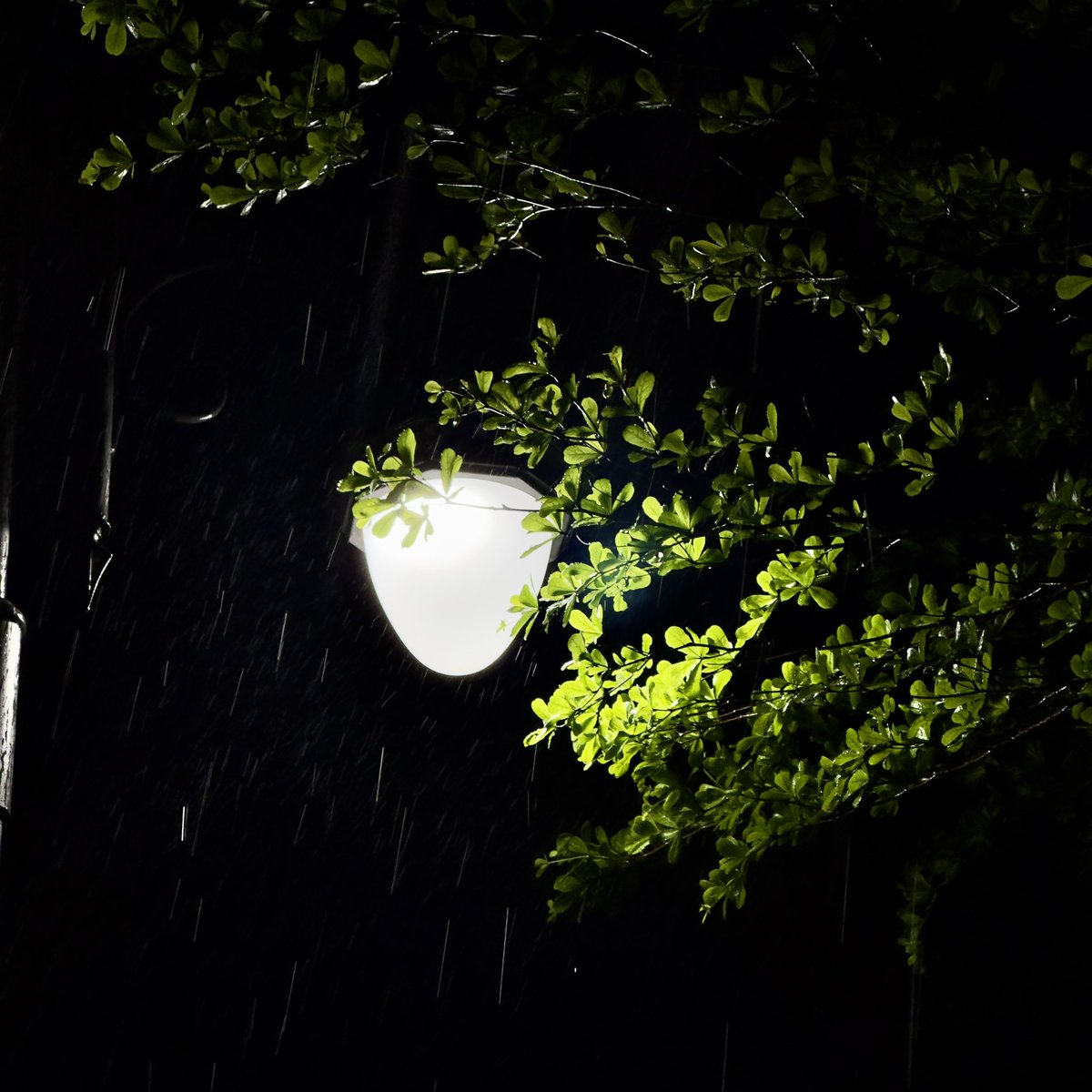 ਸੁਮਿਤ ਚਾਹਲ tweet media